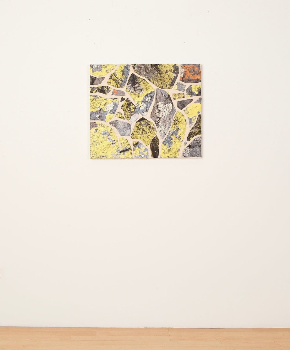 Map Lichen on Atalaya