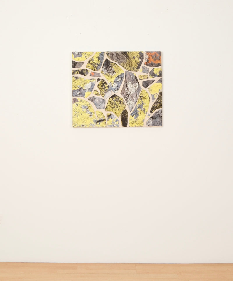 Map Lichen on Atalaya