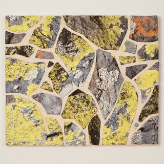 Map Lichen on Atalaya