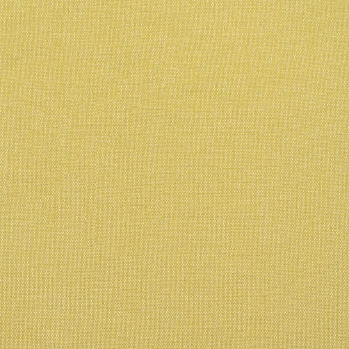 Alba Lounge Chair - yellow in stock