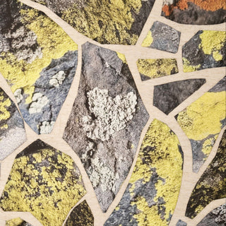 Map Lichen on Atalaya