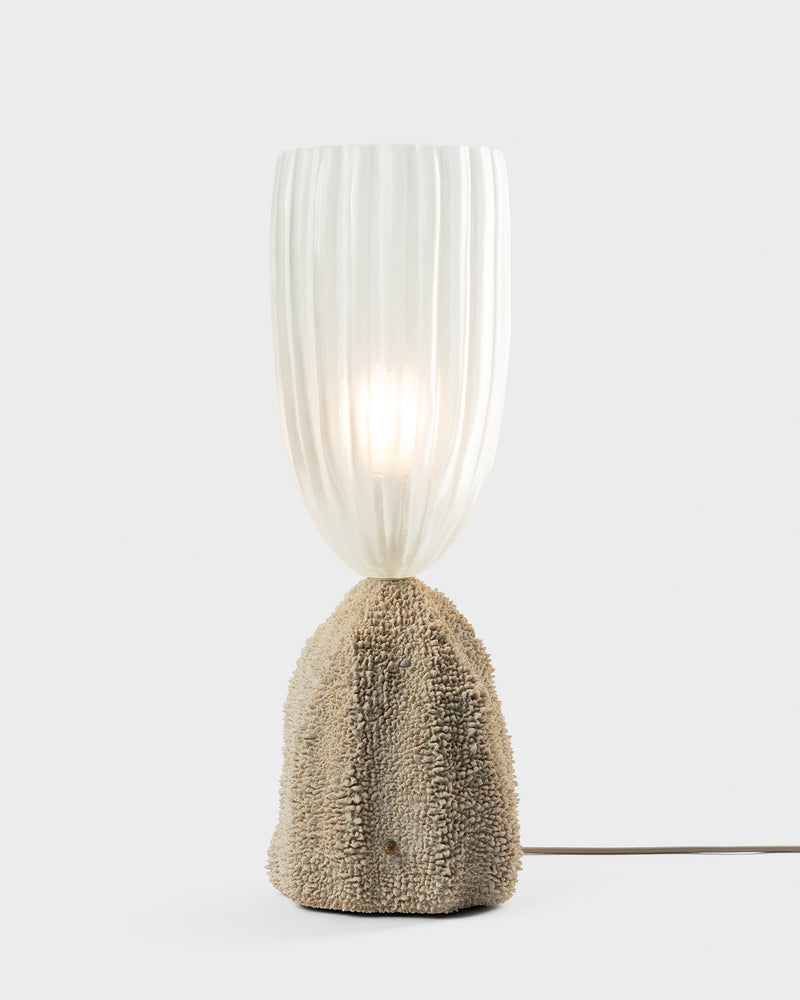 Sponge Cactus Lamp