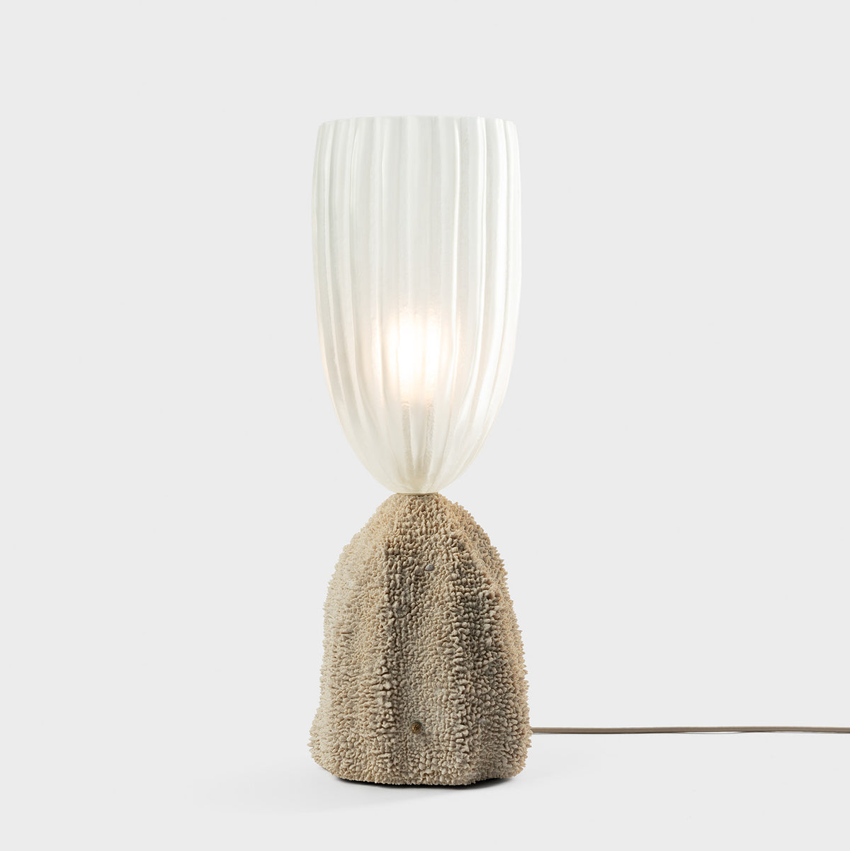 Sponge Cactus Lamp
