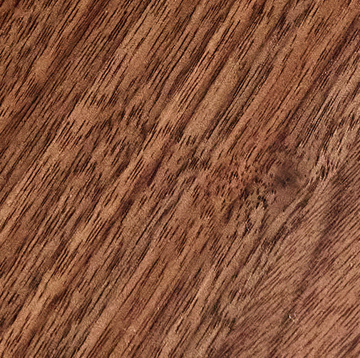 Walnut Swatch